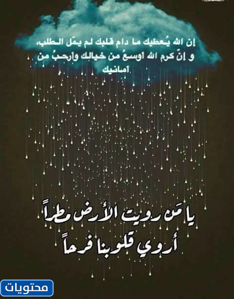 صور عن مطر تويتر
