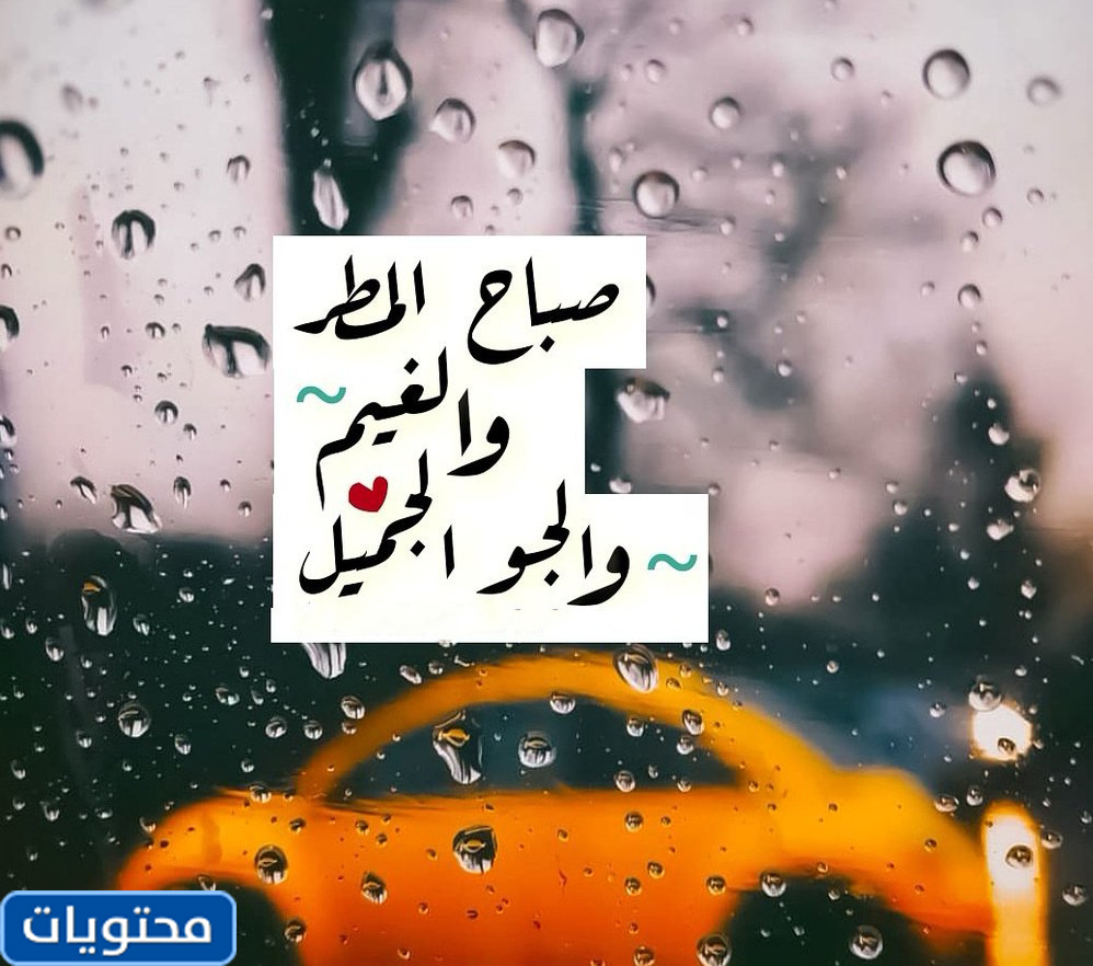 صور عن مطر تويتر