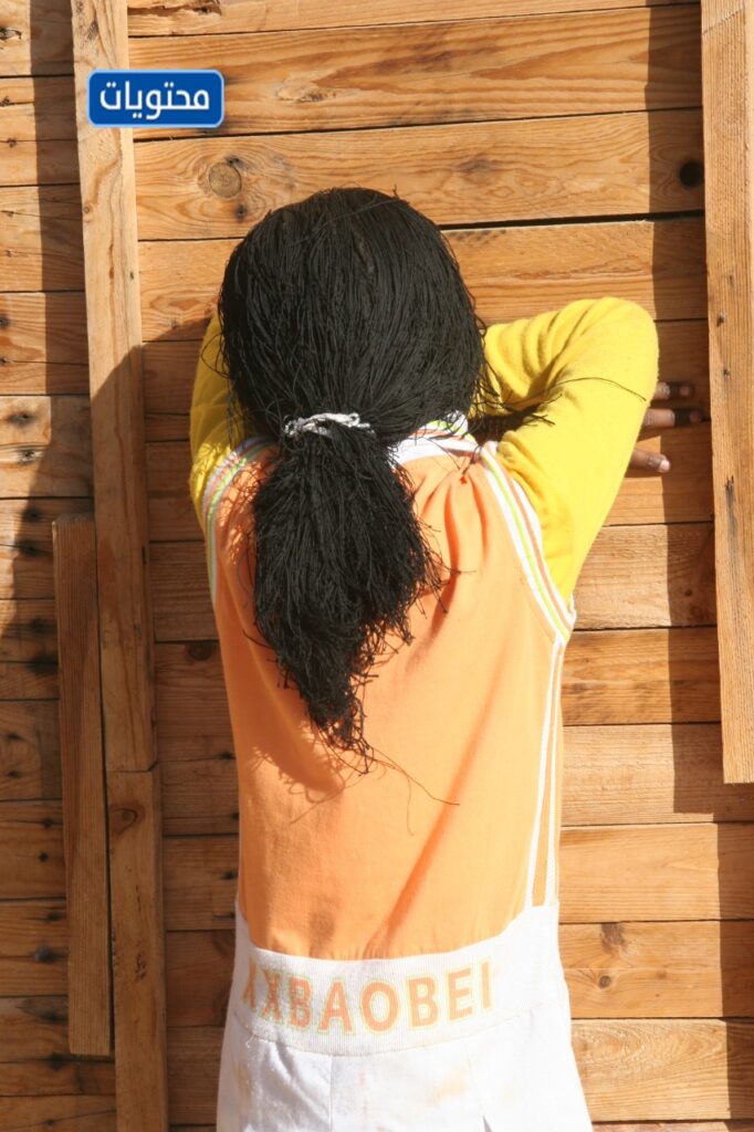 إخفاء والبحث عن اللعبة