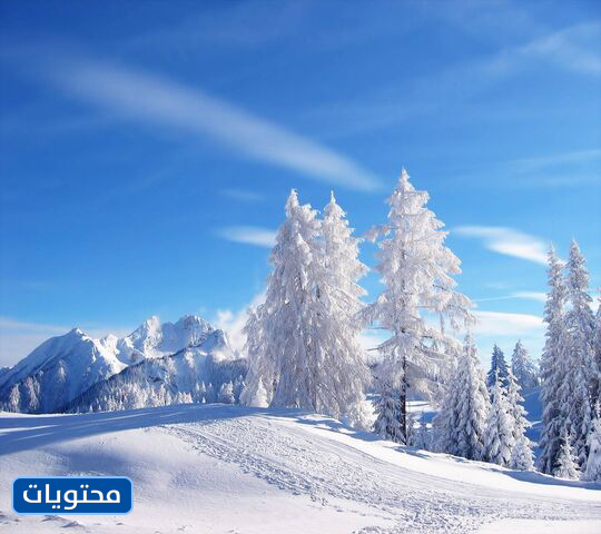 تقاليد وعادات وطريقة حياة شعب الإسكيمو بالصور