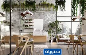 أفضل ألوان المقاهي