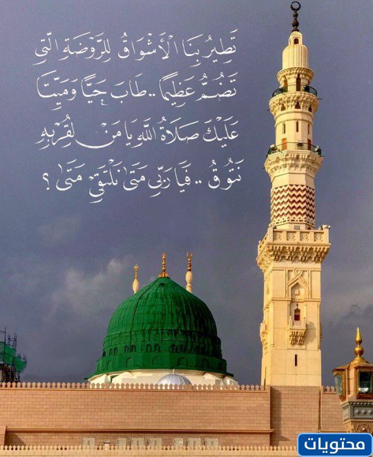 صور حب للمدينة المنورة