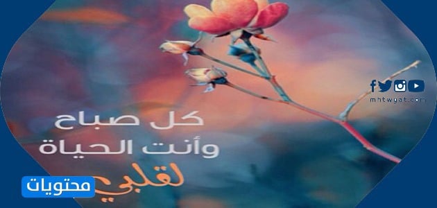 كلام حلو عن الصباح للحبيب بالصور