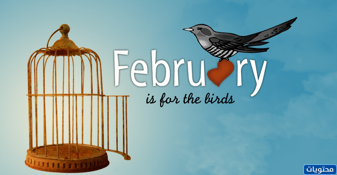 خلفيات فبراير شهر الحب