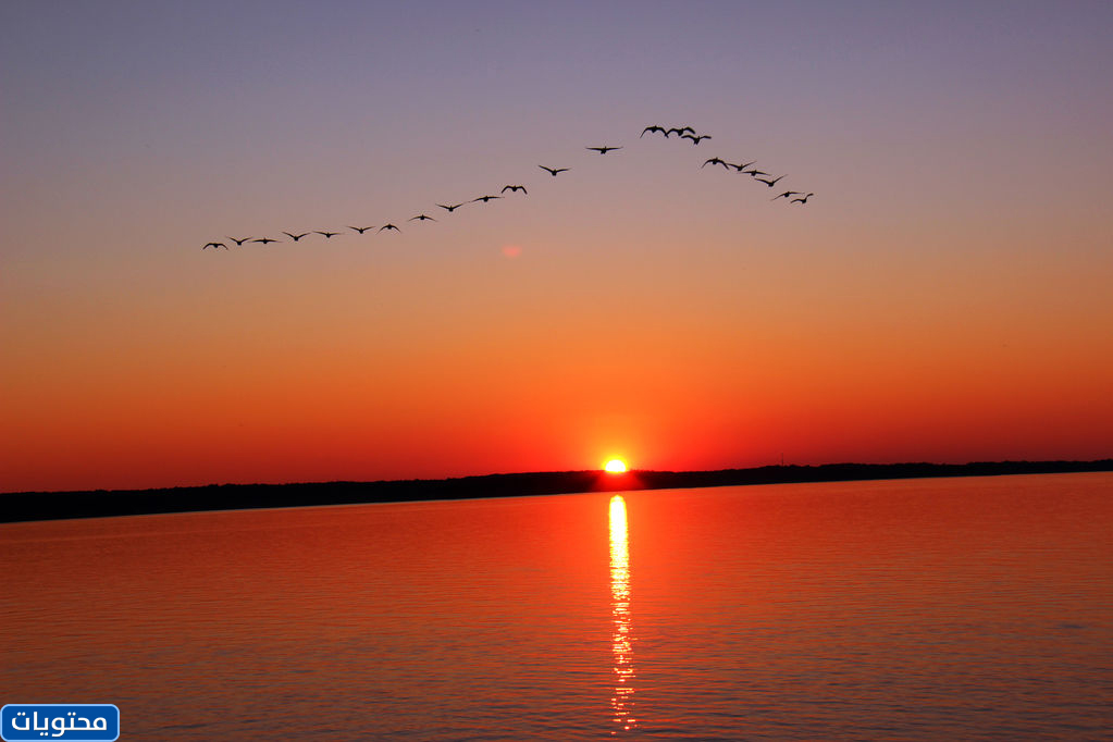 منظر غروب الشمس من البحر