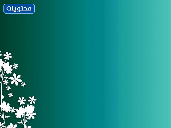 قوالب الخلفية البحثية الجامعية