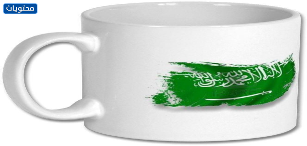 توزيعات الوظائف ليوم التأسيس السعودي