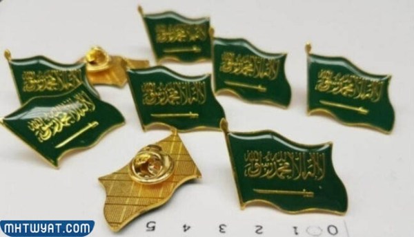بروش اليوم الوطني دبوس