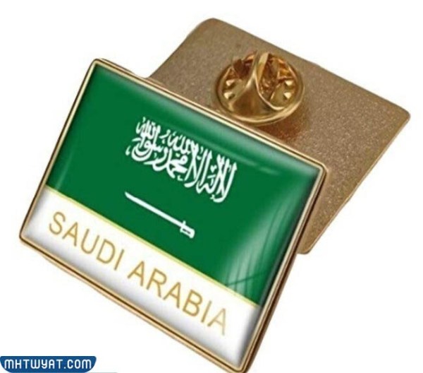 بروش اليوم الوطني دبوس