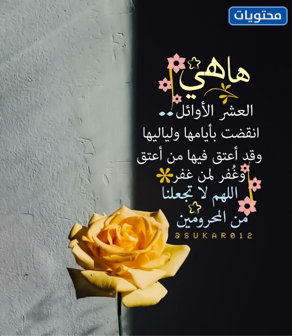 صور انقضت العشر الاوائل من رمضان