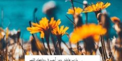 عبارات وصور صباح اليوم السادس من رمضان 2024