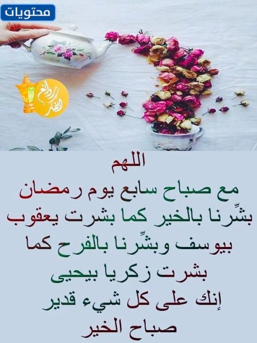 صور صباح اليوم السابع من رمضان 2022