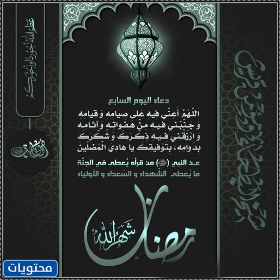صور صَباح اليَوم السّابع مِن رَمضان 2022
