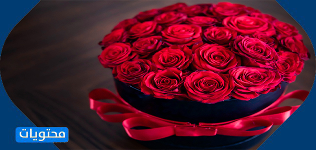 عبارات عن الهدايا المفاجئة45