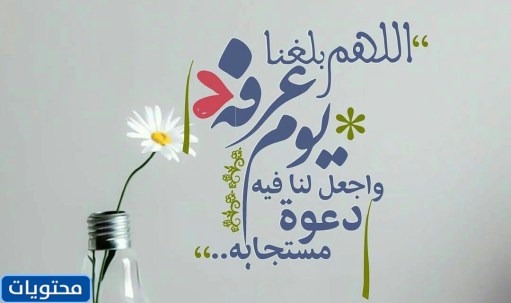 كلمات تهنئة بعيد الأضحى