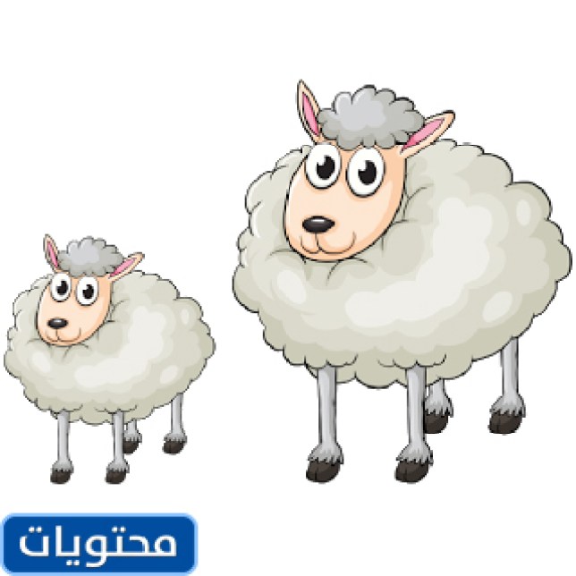 صور عيد الأضحى المبارك جاهزة للطباعة