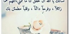 موقع محتويات