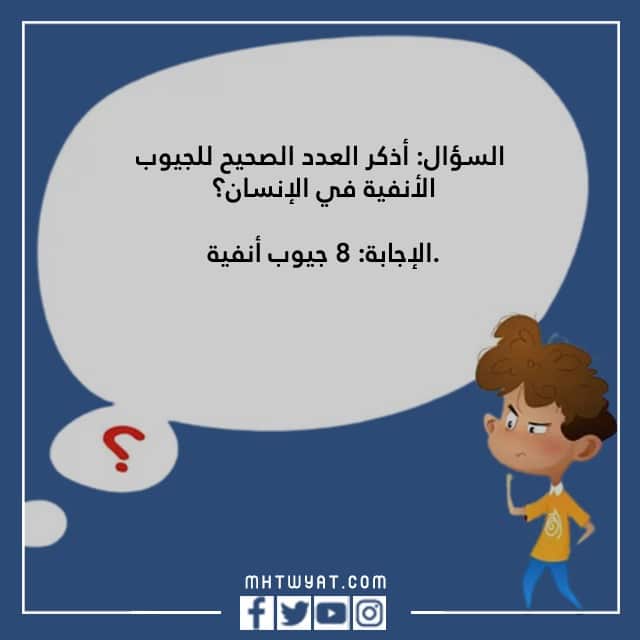 أسئلة مسابقة الأسرة المصورة