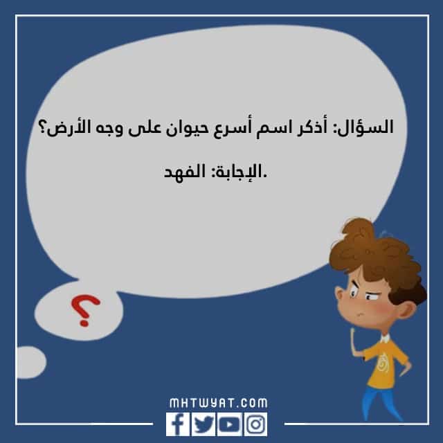 أسئلة المسابقة العامة مع الصور