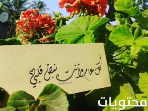 بطاقات تهنئة بالعام الجديد لصديقتك