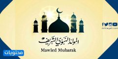 انشطة للاطفال بمولد النبي 2026 … اجمل الافكار للاحتفال في المولد النبوي 1448