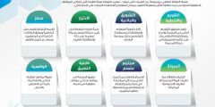 فكرة النشاط الطلابي 1448 للمرحلة الابتدائية pdf للطباعة والتحميل