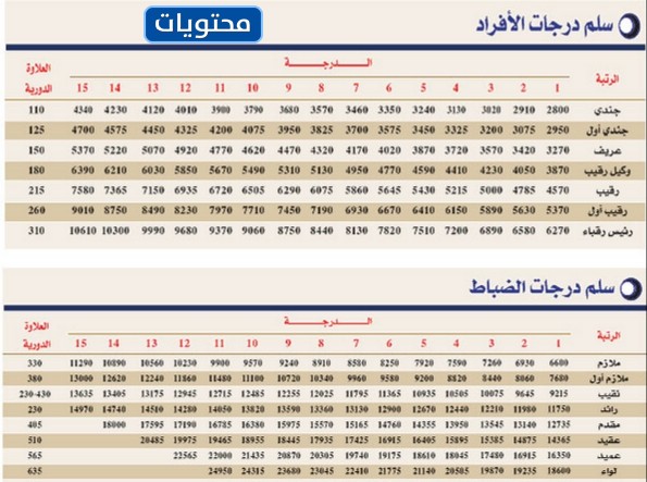 سلم رواتب الامن الدبلوماسي