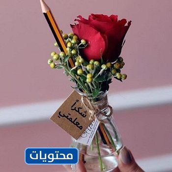 ثيمات شكر ليوم المعلم