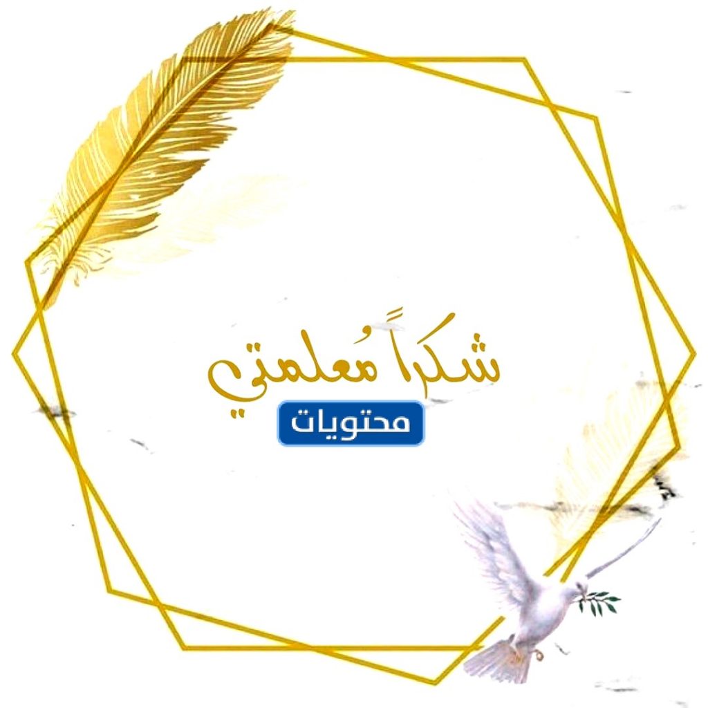 ثيمات لشكر يوم المعلم بجودة عالية