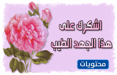 ثيمات يوم المعلم بجودة عالية